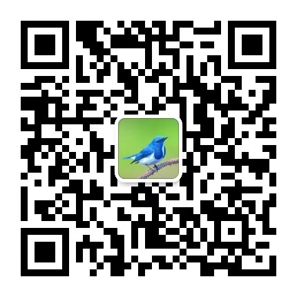 郑州智稳软件科技有限公司